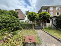 IMG_5784.JPG