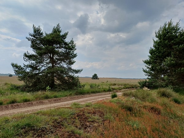 Medium property photo - Pelotonlaan 58, 6711 WL Ede