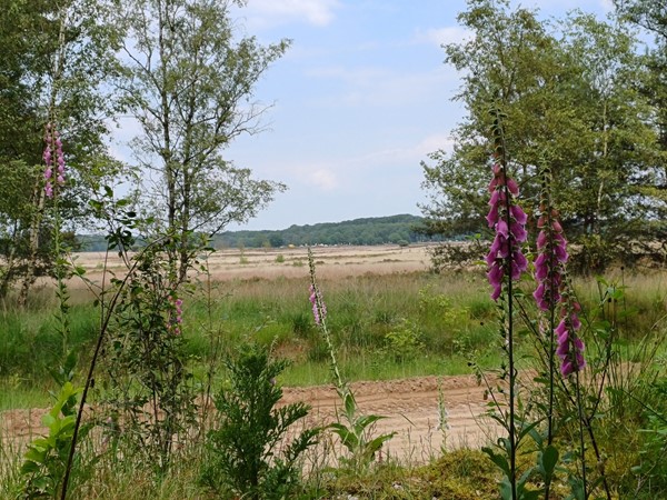 Medium property photo - Pelotonlaan 58, 6711 WL Ede