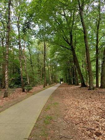 Medium property photo - Pelotonlaan 58, 6711 WL Ede