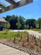 New for rent: Bosbeshof 39, 6711 VX Ede