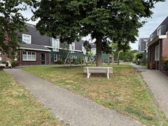 IMG_6393.JPG
