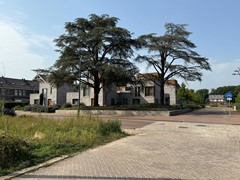IMG_7169.JPG