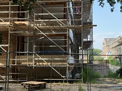 IMG_7164.JPG