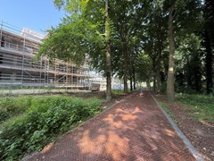 IMG_7162.JPG