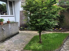 IMG_2669.jpeg