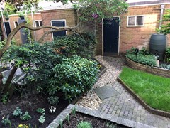 IMG_2666.jpeg