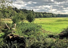 natuur3.jpg