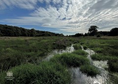 natuur2.jpg