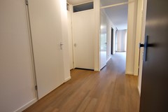 For rent: Arboretumlaan 6-002, 6703 BD Wageningen