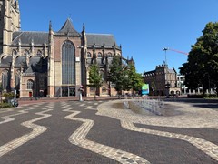 IMG_0281.JPG