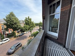 IMG_8331.JPG