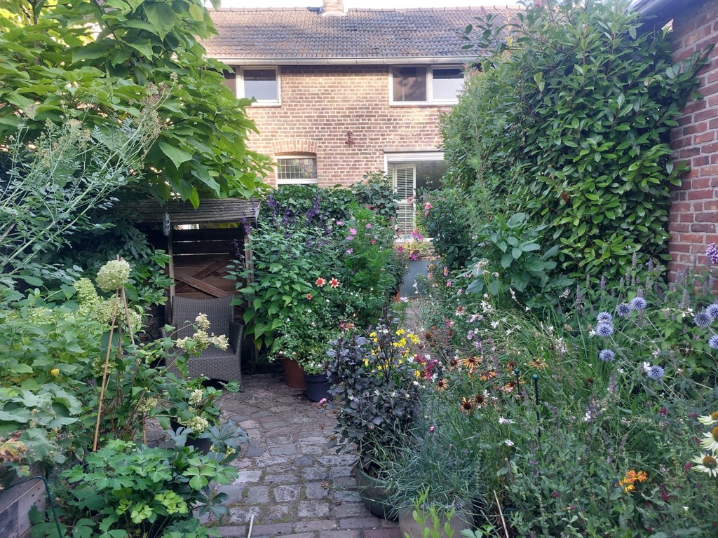 04E51C30-4EDC-422C-9D64-AD5BFE3464C9