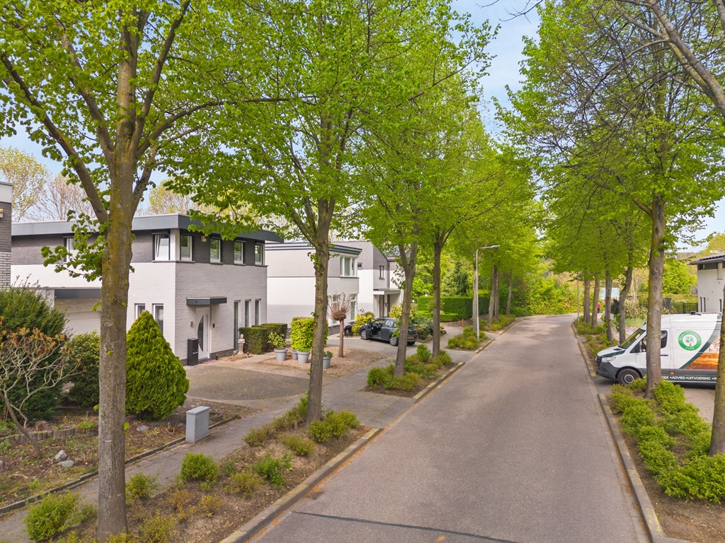 05.jpg