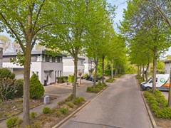 05.jpg