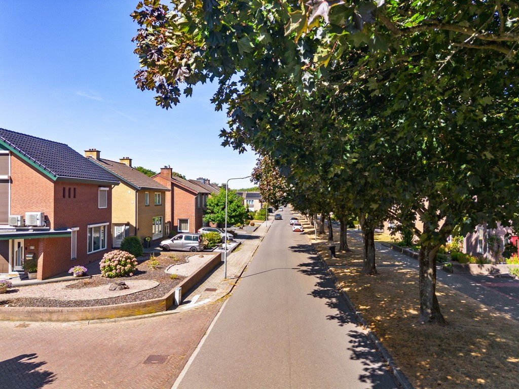 06.jpg