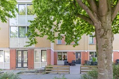 foto 03.jpg
