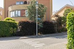 foto 48.jpg