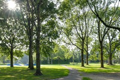 44-Boterbloem 1C Purmerend.jpg