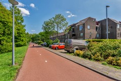 Regge 30-3.jpg