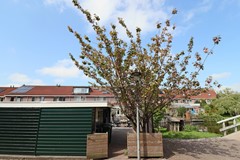 Rented: Langepad 20, 1544 PS Zaandijk