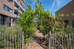 Galantstraat 37, Amsterdam-31.jpg