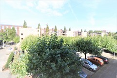 Rented: Dick Greinerstraat 46, 1019 CT Amsterdam