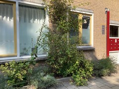 New for rent: Tweede Oosterparkstraat 69A, 1091 HW Amsterdam