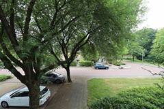 IMG_8525.JPG
