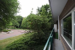 IMG_8526.JPG