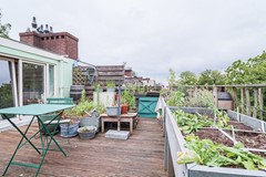 IMG_4772.jpg