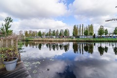 IMG_0572.jpg