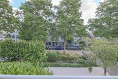 IMG_4649.jpg