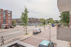 IMG_5438.jpg