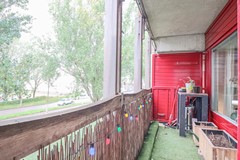 IMG_5327.jpg
