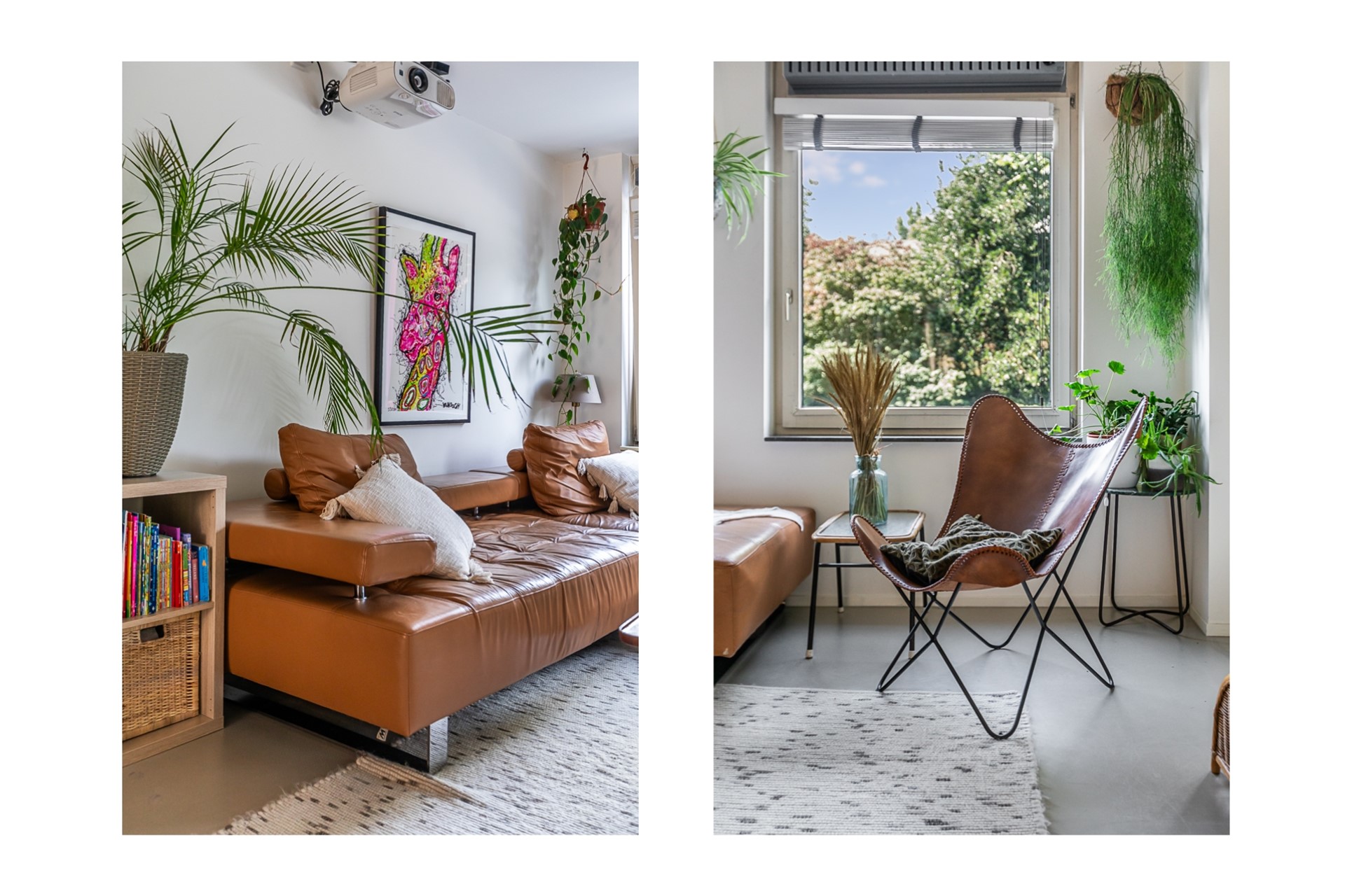 Appartement te huur: Hofmeyrstraat 2B, Amsterdam