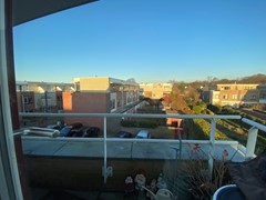 IMG_6934.jpg