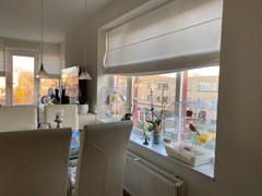 IMG_6937.jpg