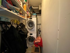 IMG_6955.jpg