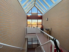IMG_6960.jpg
