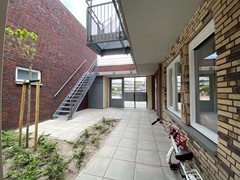 IMG_8373.jpg