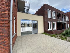 IMG_8374.jpg