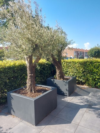 Medium property photo - Sint Jeroensweg, 2201 NT Noordwijk
