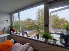20211112_120348.jpg