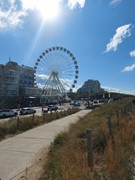 20250930_131512.jpg