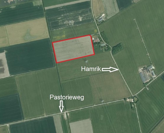 Hamrik, 9635VC Noordbroek
