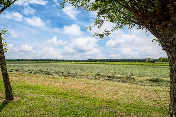 Medium property photo - Langeboomsestraat 7, 7046 AA Vethuizen