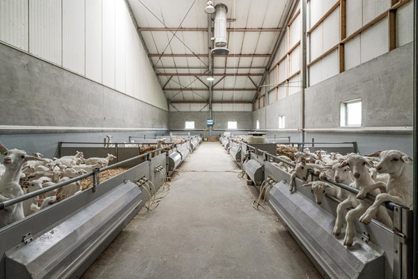 Medium property photo - Langeboomsestraat 7, 7046 AA Vethuizen