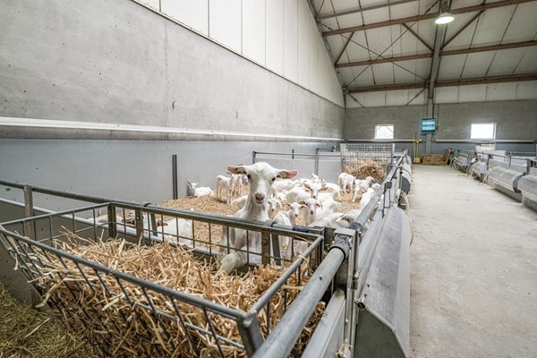 Medium property photo - Langeboomsestraat 7, 7046 AA Vethuizen