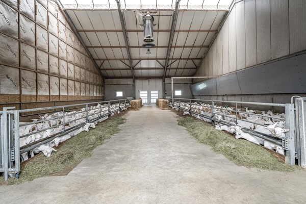 Medium property photo - Langeboomsestraat 7, 7046 AA Vethuizen